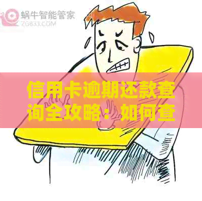 信用卡逾期还款查询全攻略：如何查看、避免及处理逾期问题