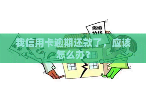 我信用卡逾期还款了，应该怎么办？