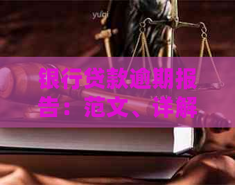 银行贷款逾期报告：范文、详解与情况说明