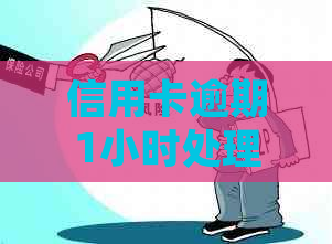 信用卡逾期1小时处理方法：如何避免逾期影响？