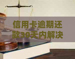 信用卡逾期还款30天内解决方案，避免影响信用和费用的全攻略