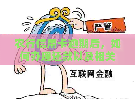 农行信用卡逾期后，如何办理还款以及相关问题解答