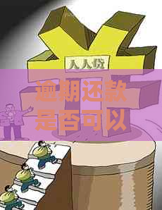 逾期还款是否可以选择分期付款？