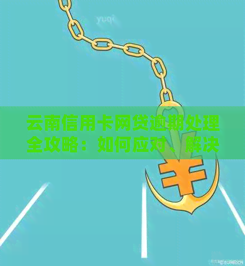 云南信用卡网贷逾期处理全攻略：如何应对、解决方案及常见问题解答
