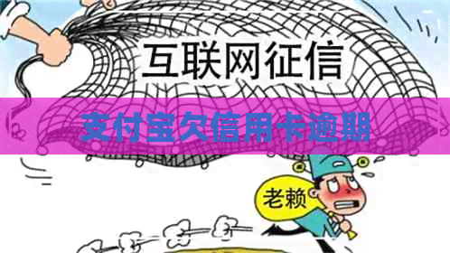 支付宝欠信用卡逾期