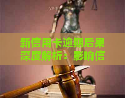 新信用卡逾期后果深度解析：影响信用记录、贷款申请甚至被起诉！