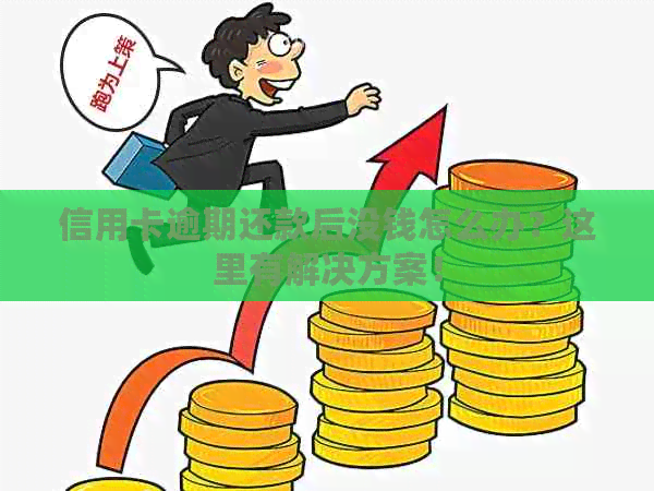 信用卡逾期还款后没钱怎么办？这里有解决方案！