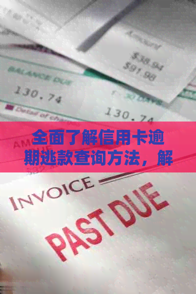全面了解信用卡逾期逃款查询方法，解决用户搜索疑虑