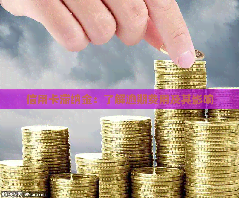 信用卡滞纳金：了解逾期费用及其影响