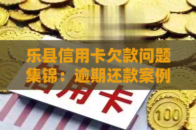 乐县信用卡欠款问题集锦：逾期还款案例分析与解决策略
