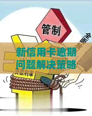 新信用卡逾期问题解决策略：如何应对涉嫌逾期情况？