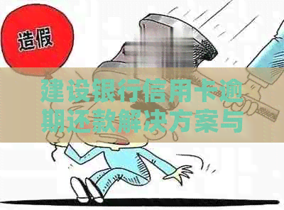建设银行信用卡逾期还款解决方案与建议