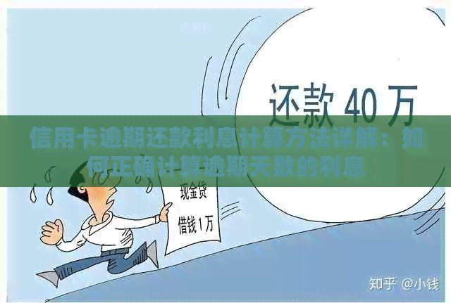 信用卡逾期还款利息计算方法详解：如何正确计算逾期天数的利息