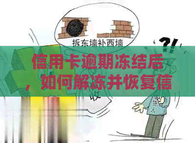信用卡逾期冻结后，如何解冻并恢复信用？