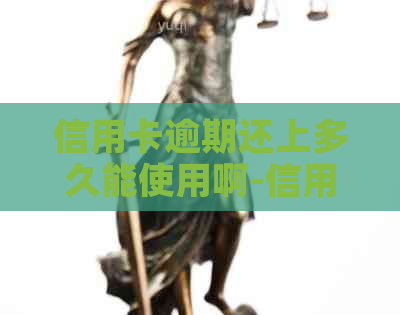 信用卡逾期还上多久能使用啊-信用卡逾期还上多久能使用啊