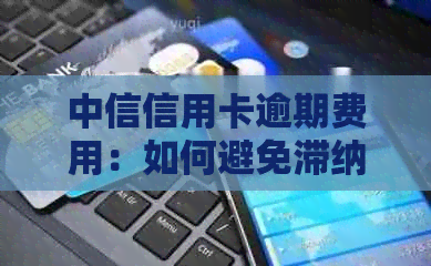 中信信用卡逾期费用：如何避免滞纳金与解决方法
