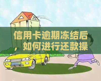 信用卡逾期冻结后，如何进行还款操作及相关注意事项