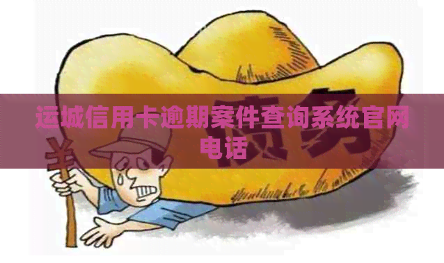 运城信用卡逾期案件查询系统官网电话