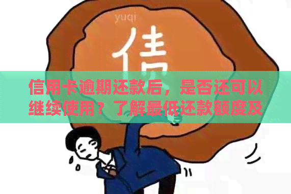 信用卡逾期还款后，是否还可以继续使用？了解更低还款额度及其影响