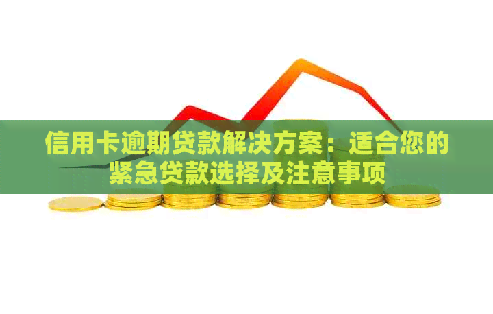 信用卡逾期贷款解决方案：适合您的紧急贷款选择及注意事项