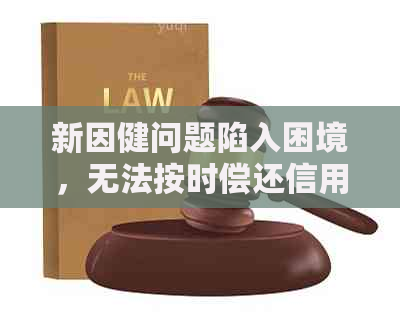 新因健问题陷入困境，无法按时偿还信用卡欠款