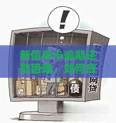 新信用卡逾期还款困难，如何应对警方介入与挽救信用？