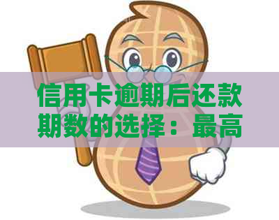 信用卡逾期后还款期数的选择：更高可分期几期？如何制定合理的还款计划？