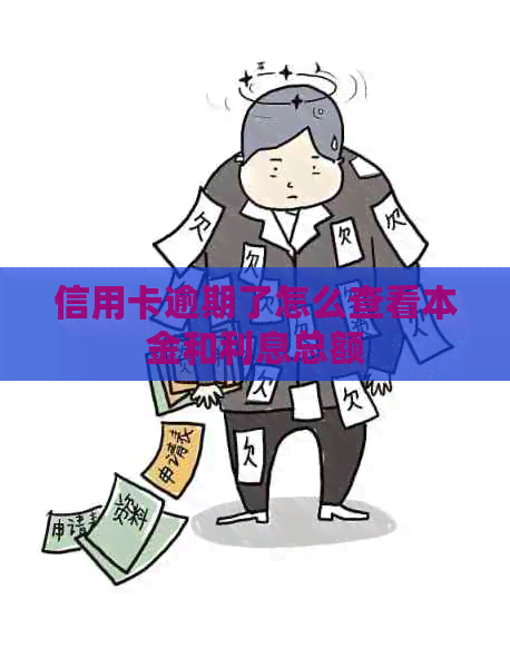 信用卡逾期了怎么查看本金和利息总额