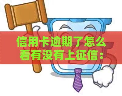 信用卡逾期了怎么看有没有上：完整指南与报告查询
