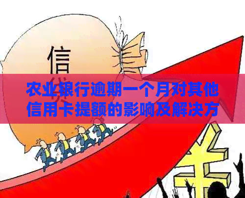 农业银行逾期一个月对其他信用卡提额的影响及解决方法