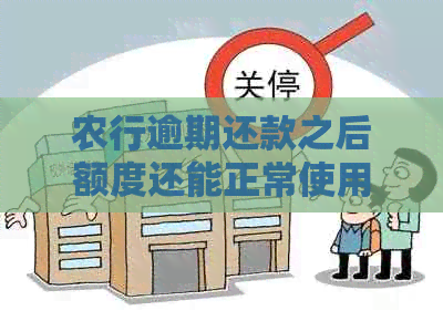 农行逾期还款之后额度还能正常使用吗？