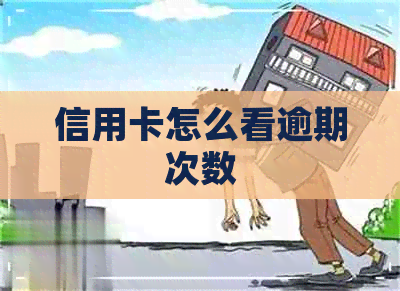 信用卡怎么看逾期次数