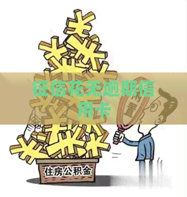 花无逾期信用卡