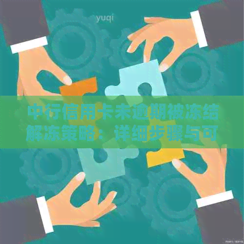 中行信用卡未逾期被冻结解冻策略：详细步骤与可能原因分析