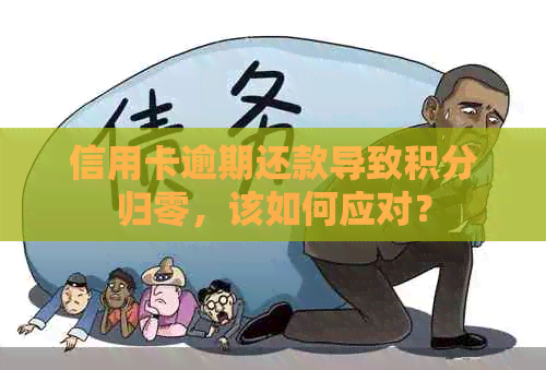 信用卡逾期还款导致积分归零，该如何应对？