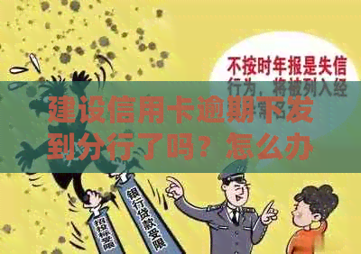建设信用卡逾期下发到分行了吗？怎么办？