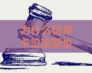 为什么信用卡没逾期也办不下来：原因与解决方法