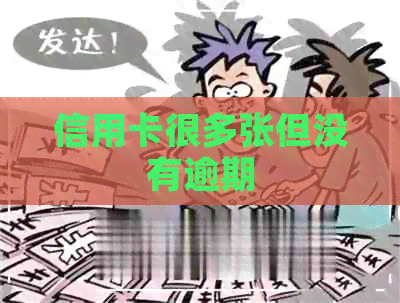 信用卡很多张但没有逾期