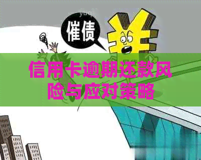 信用卡逾期还款风险与应对策略