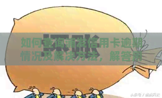 如何查询浦发信用卡逾期情况及解决方法，解答用户关于信用卡逾期的各种疑问