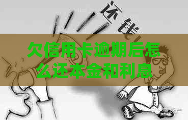 欠信用卡逾期后怎么还本金和利息