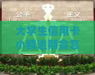 大学生信用卡小额逾期会怎么样？处理、影响与解决办法全解析！
