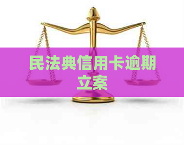 民法典信用卡逾期立案