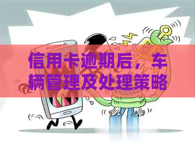 信用卡逾期后，车辆管理及处理策略全方位解析