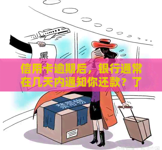 信用卡逾期后，银行通常在几天内通知你还款？了解具体时间和处理方式