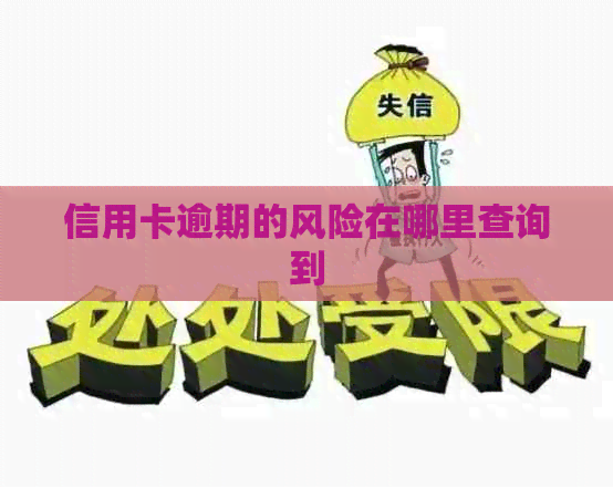 信用卡逾期的风险在哪里查询到