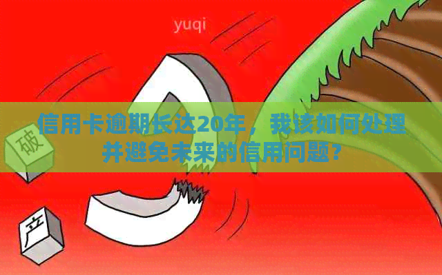 信用卡逾期长达20年，我该如何处理并避免未来的信用问题？