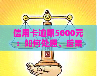 信用卡逾期5000元：如何处理、后果及解决方案全面解析