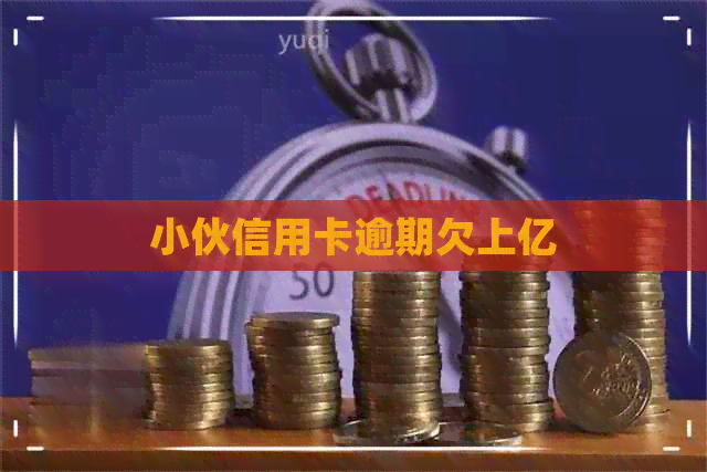 小伙信用卡逾期欠上亿