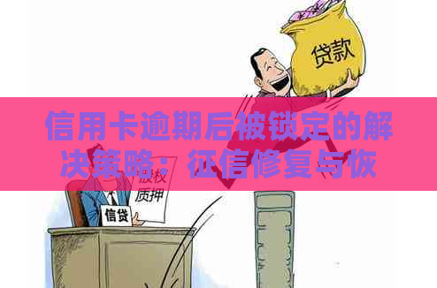 信用卡逾期后被锁定的解决策略：修复与恢复使用指南
